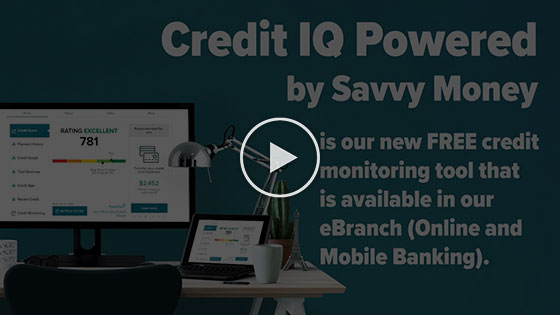 Credit IQ Credit Monitoring Tool